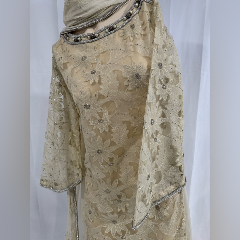 Indian pakistani dress